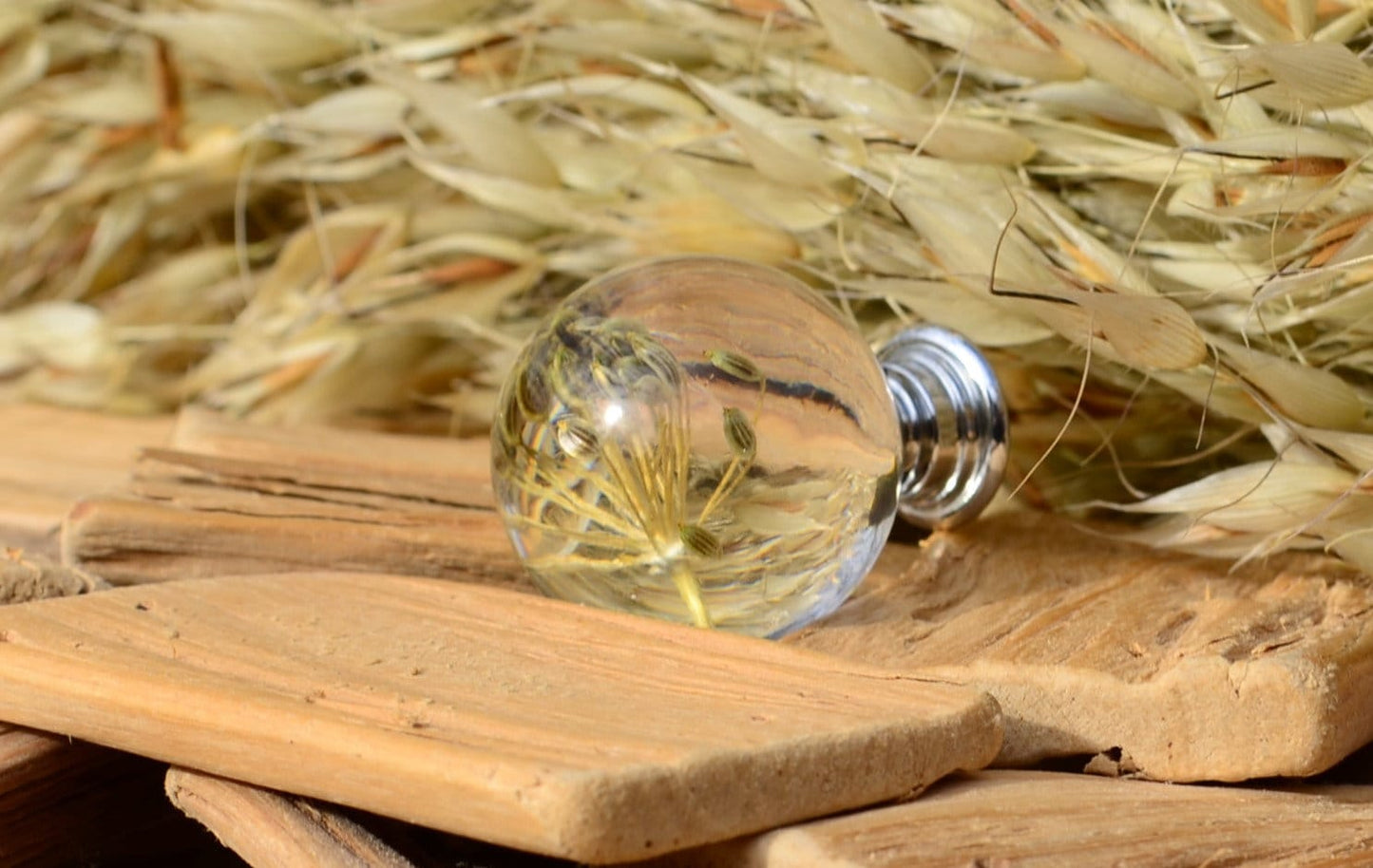 Herb Dill Seeds Kitchen Knobs, Kitchen drawer pulls, Kitchen cabinet knobs