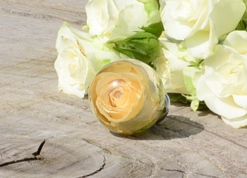 Creamy Real Rose Drawer Knobs Kitchen Cupboard knob Furniture door knob Unique door pulls Handmade cabinet door knob