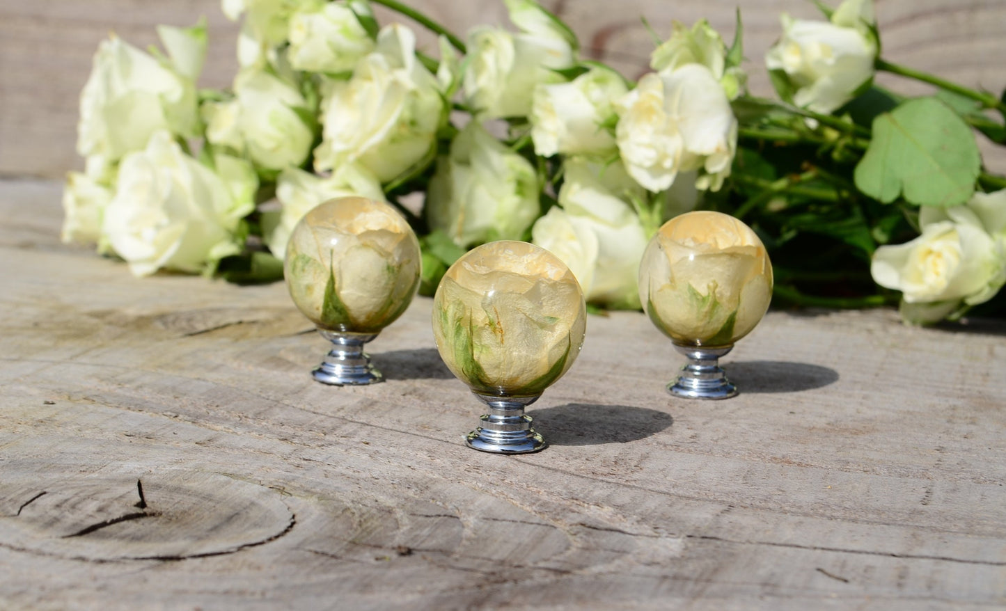 Creamy Real Rose Drawer Knobs Kitchen Cupboard knob Furniture door knob Unique door pulls Handmade cabinet door knob