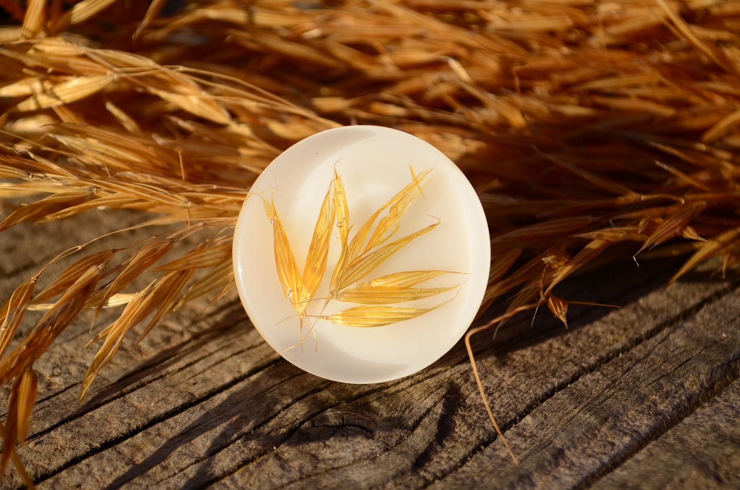 Golden wheat cabinet knob flat shape
