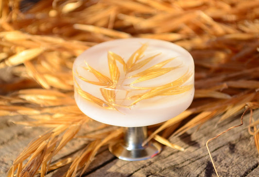Golden wheat cabinet knob flat shape