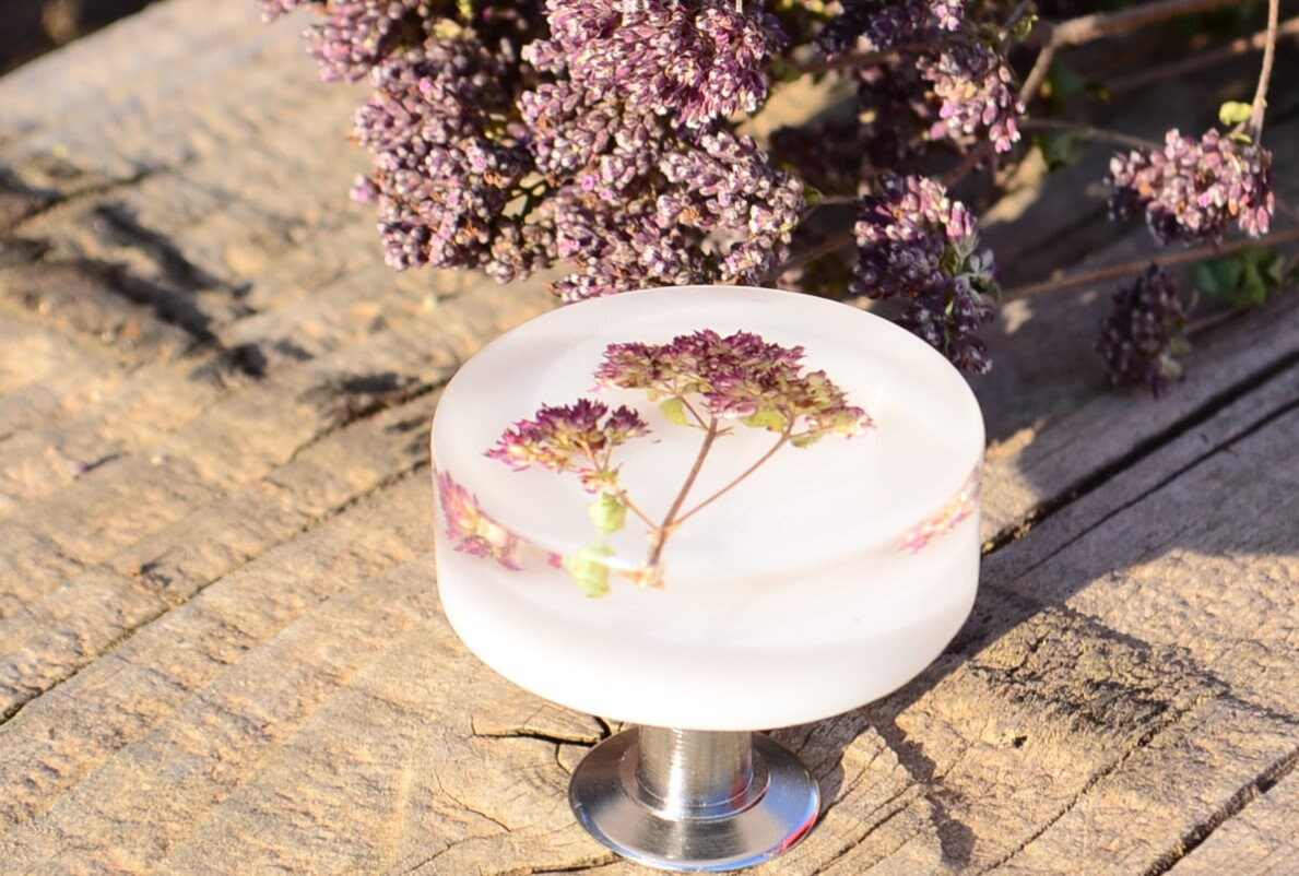 Natural Oregano Herb kitchen knobs, Drawer Pulls, Cabinet Knobs