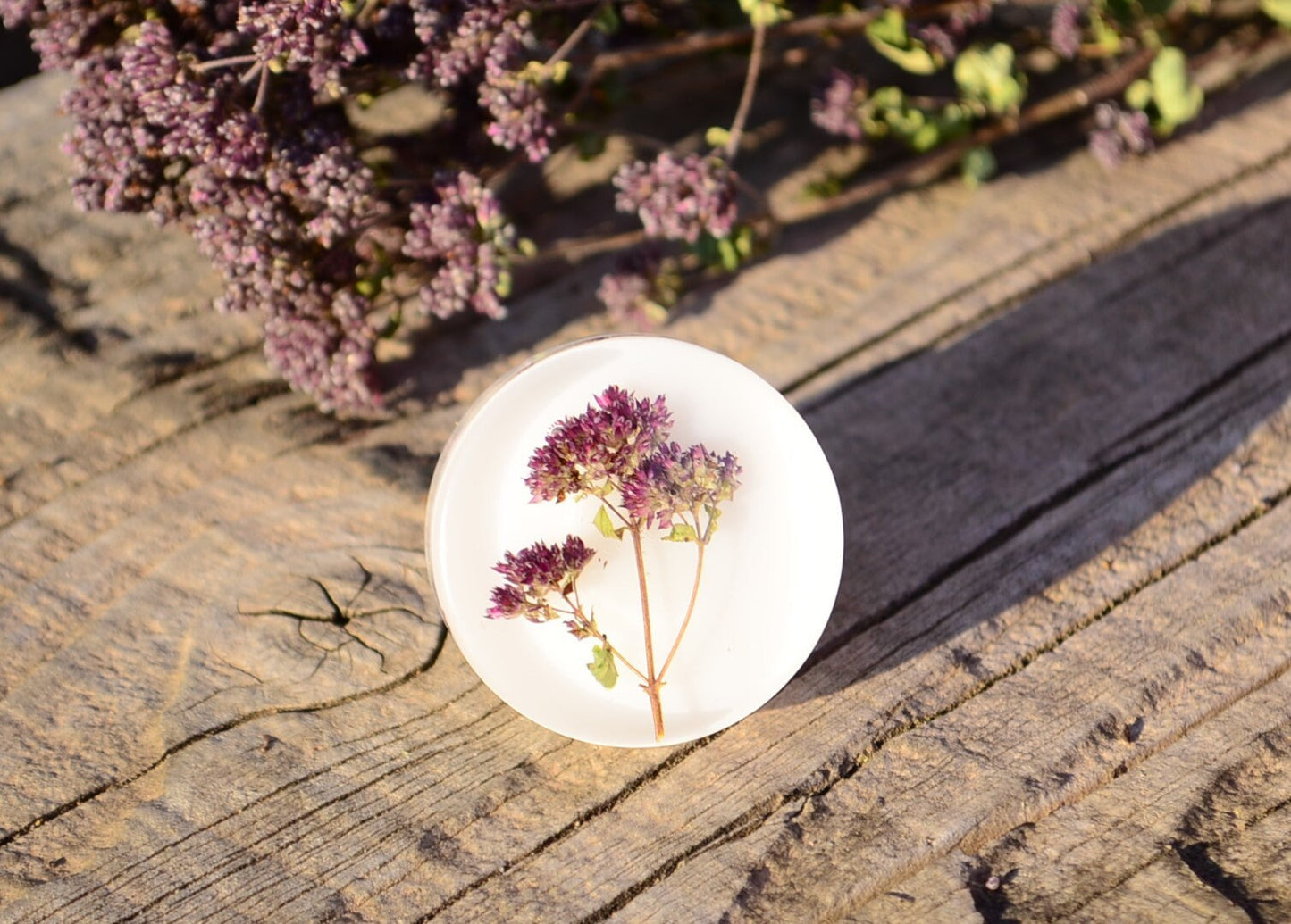 Natural Oregano Herb kitchen knobs, Drawer Pulls, Cabinet Knobs
