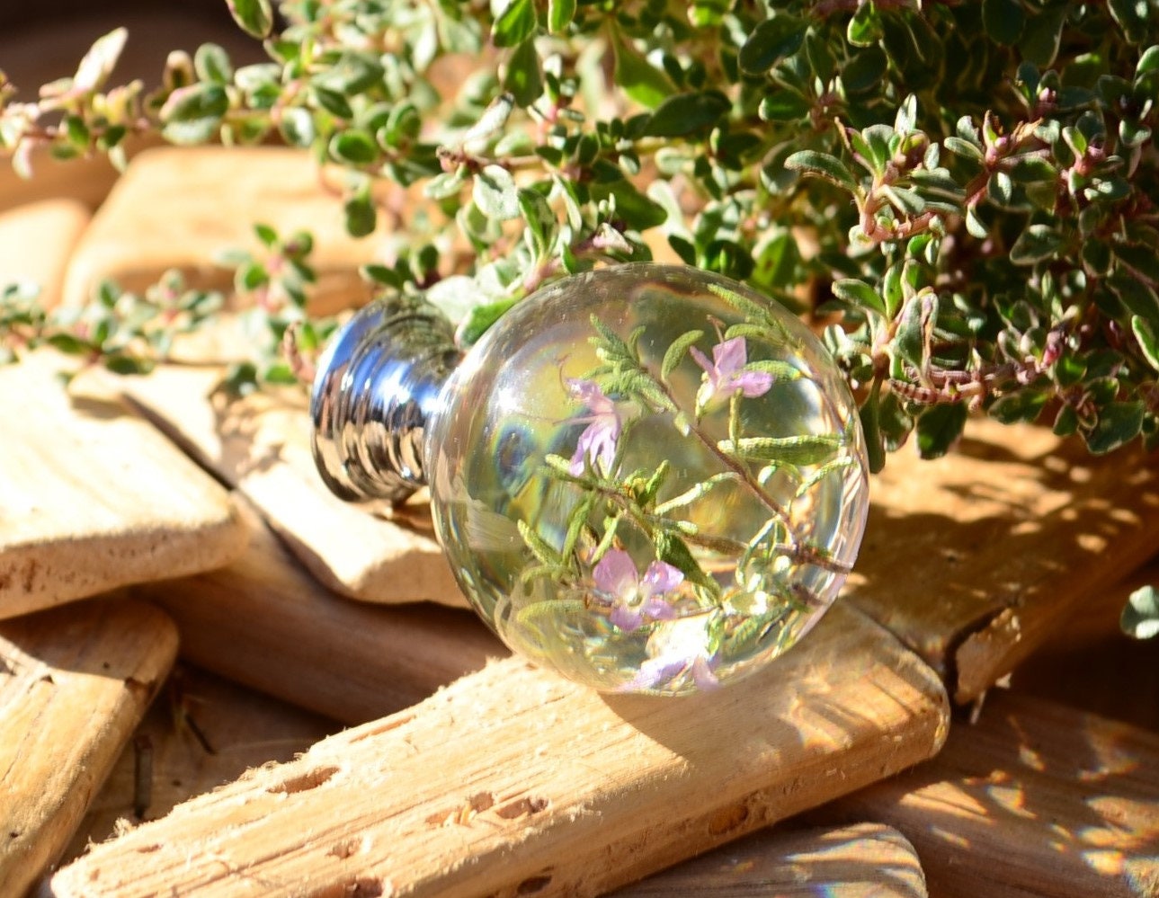 Thyme herb kitchen cabinet knob, furniture drawer knob