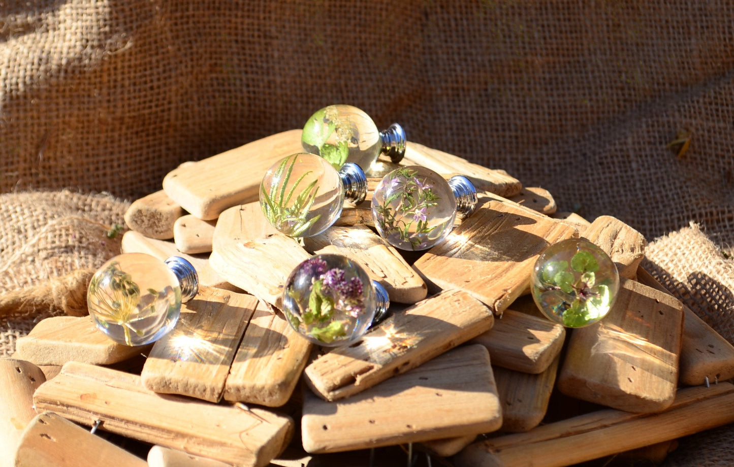 Thyme herb kitchen cabinet knob, furniture drawer knob