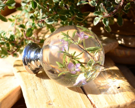 Thyme herb kitchen cabinet knob, furniture drawer knob
