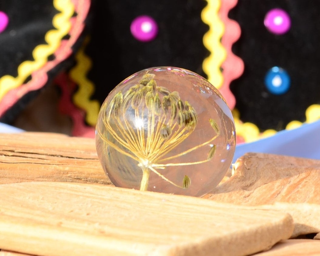 Herb Dill Seeds Kitchen Knobs, Kitchen drawer pulls, Kitchen cabinet knobs