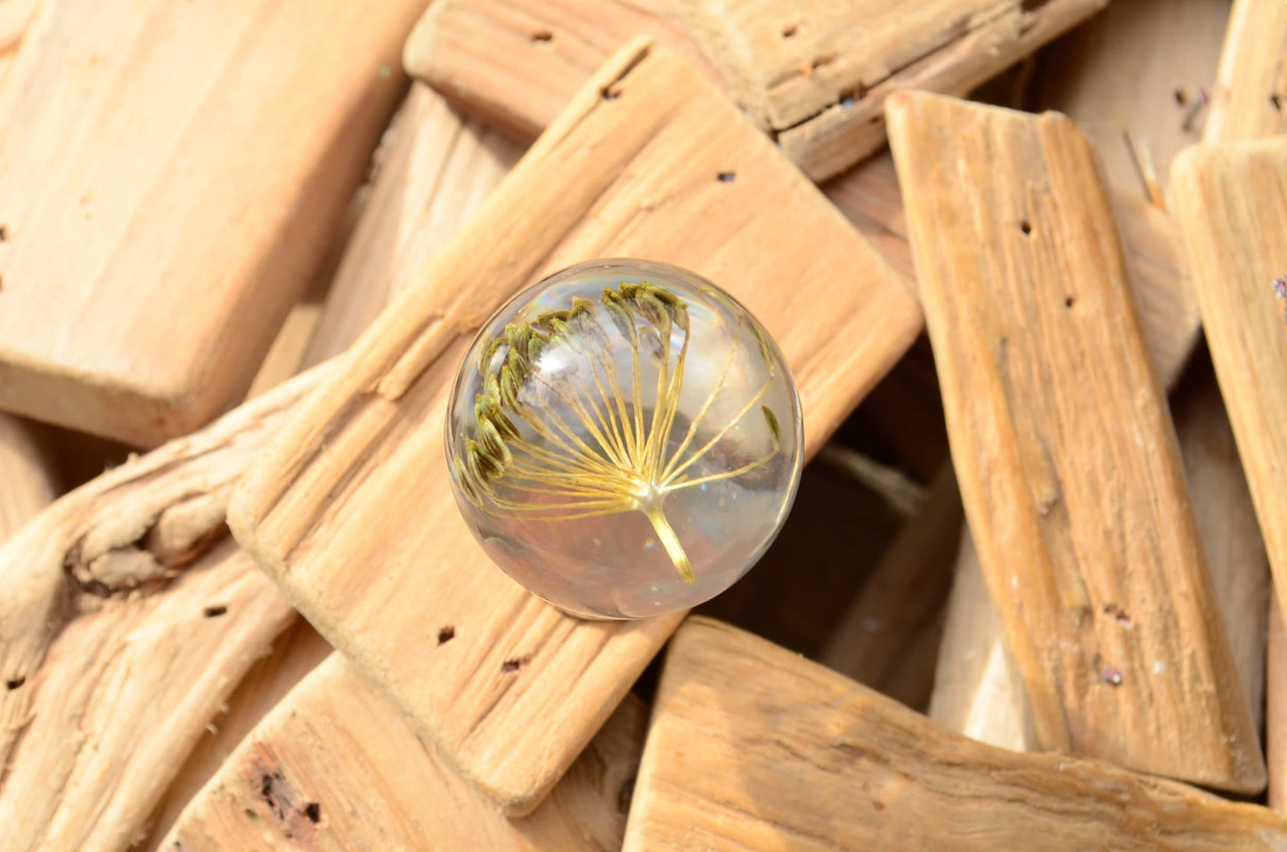 Herb Dill Seeds Kitchen Knobs, Kitchen drawer pulls, Kitchen cabinet knobs