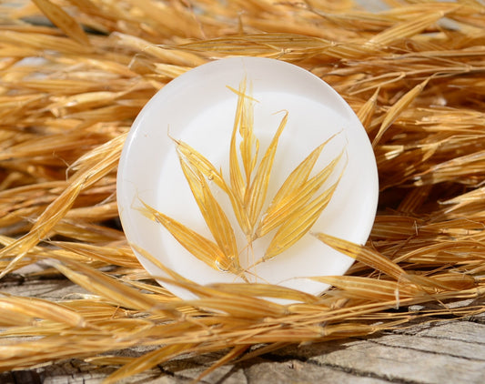 Golden wheat cabinet knob flat shape