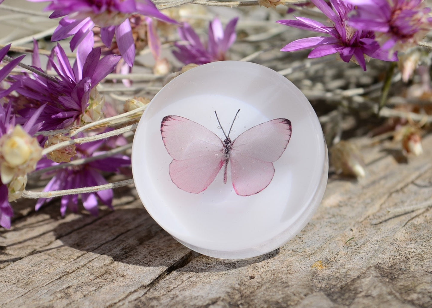 🦋Delicate summer butterfly cabinet knob