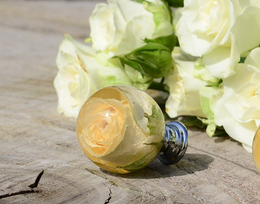 Creamy Real Rose Drawer Knobs Kitchen Cupboard knob Furniture door knob Unique door pulls Handmade cabinet door knob