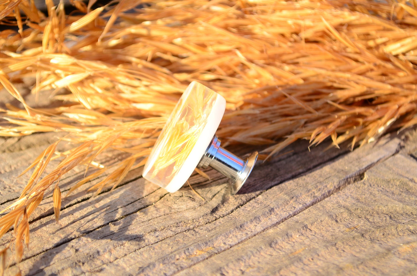 Golden wheat cabinet knob flat shape