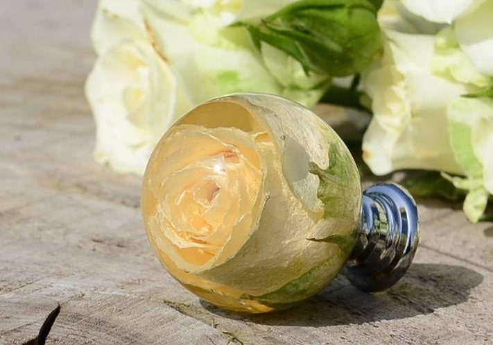 Creamy Real Rose Drawer Knobs Kitchen Cupboard knob Furniture door knob Unique door pulls Handmade cabinet door knob