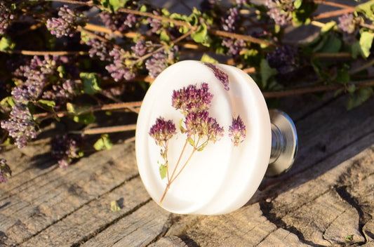 Natural Oregano Herb kitchen knobs, Drawer Pulls, Cabinet Knobs
