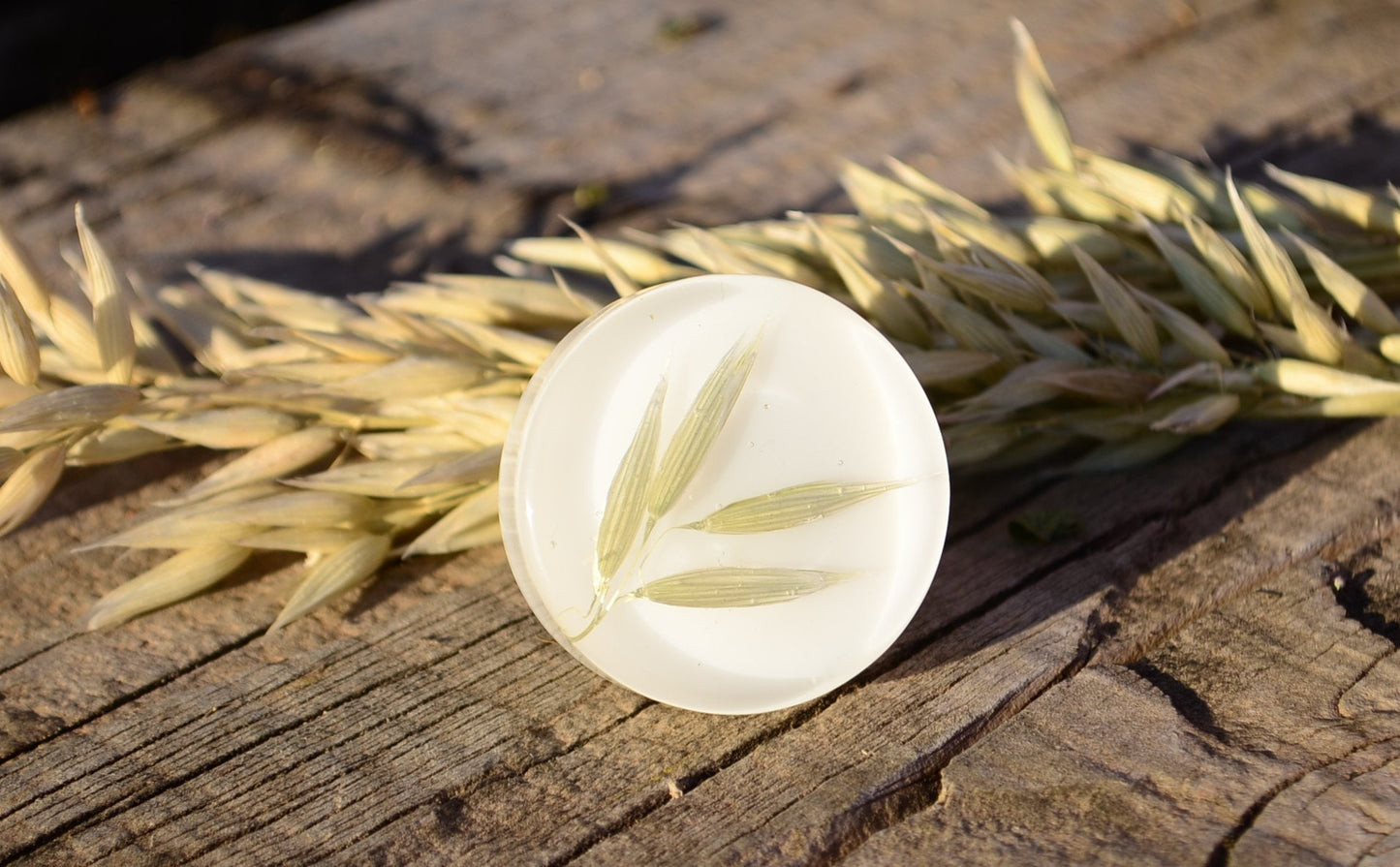 Big rounded Green Oats Kitchen Knobs, Green drawer knobs, Summer vibes with plants,