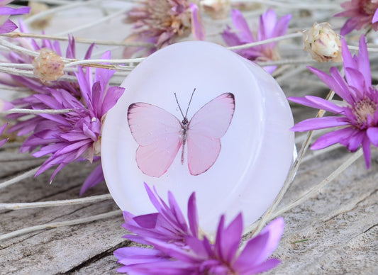 🦋Delicate summer butterfly cabinet knob