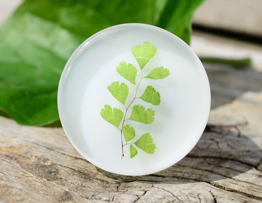 Real green leaves cabinet knobs, Elegant drawer pulls green leaves