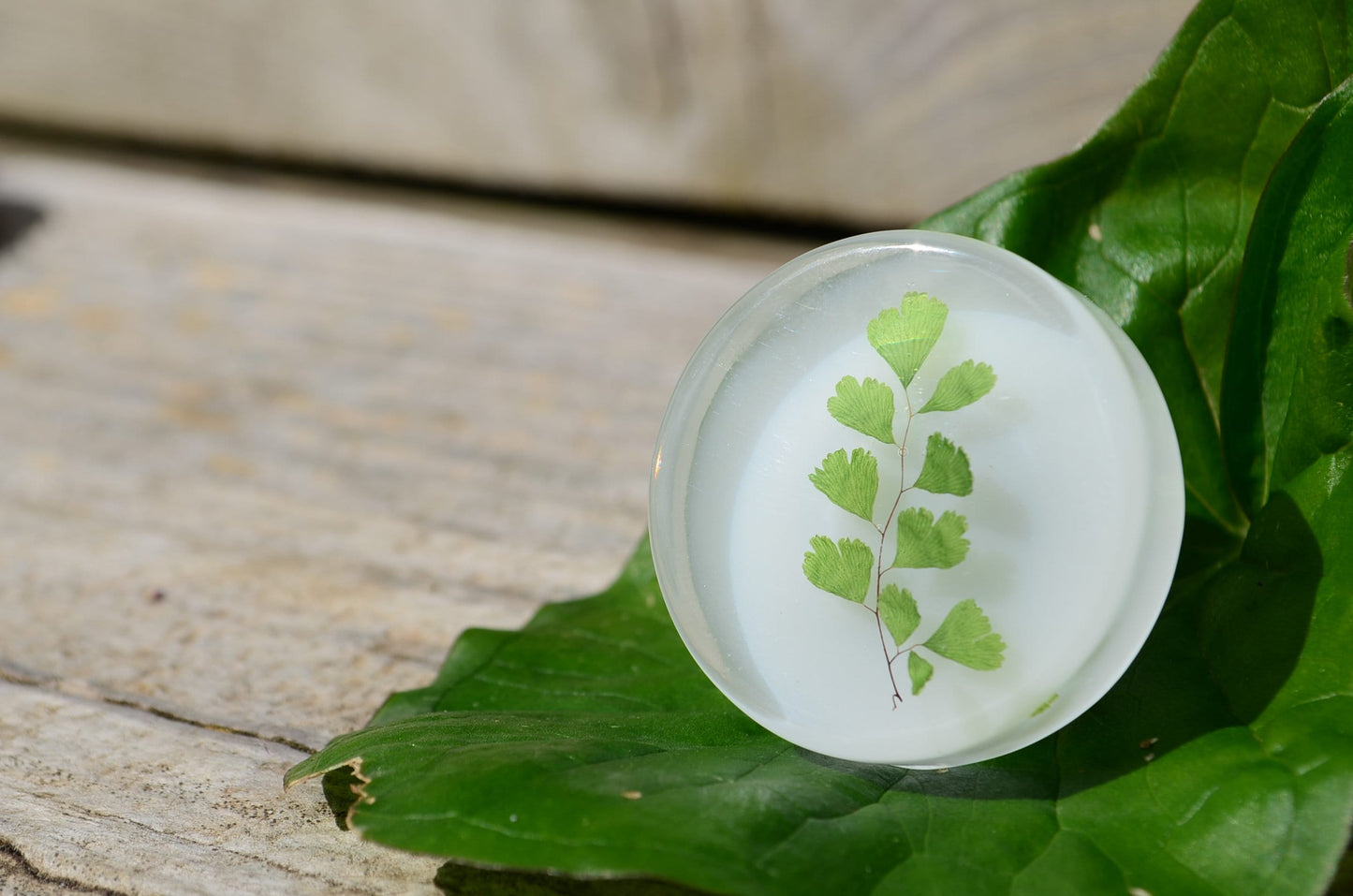 Real green leaves cabinet knobs, Elegant drawer pulls green leaves
