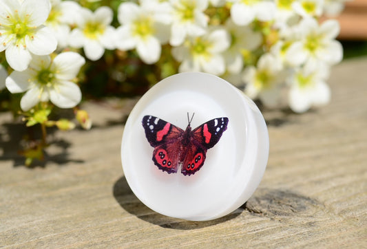 Butterfly cabinet pulls, Summer drawer knobs , Mather's day gift, personalized gifts for mom