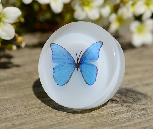 Blue Butterfly cabinet drawer knobs
