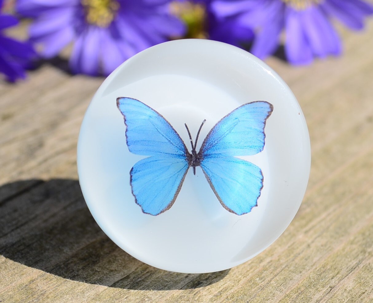 Blue Butterfly cabinet drawer knobs