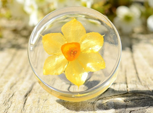 Real yellow daffodil cabinet knobs pulls , Decorative kitchen knobs, yellow hardware