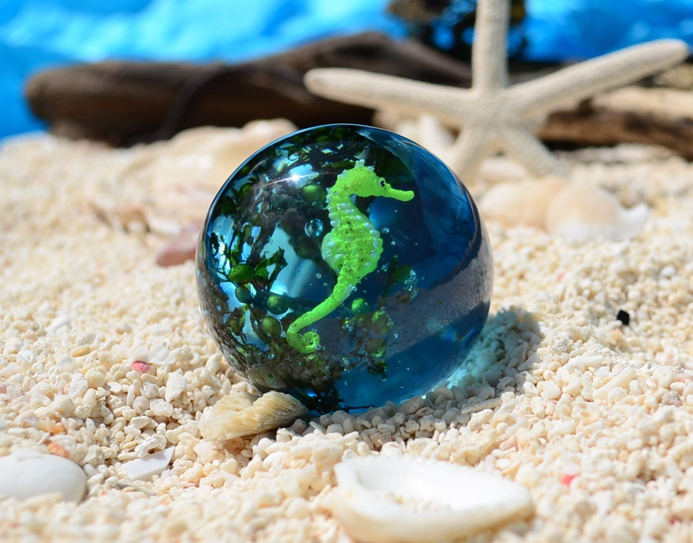Seahorse bathroom cabinet knobs Ocean in your bathroom gift for him knobs and pulls