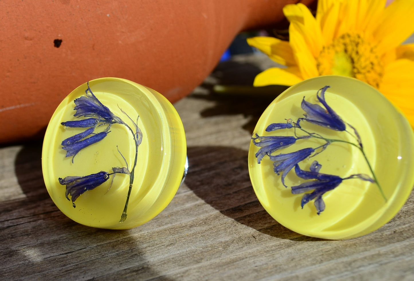 Real Blue flowers cabinet knobs, Special gift for her, Drawer pulls