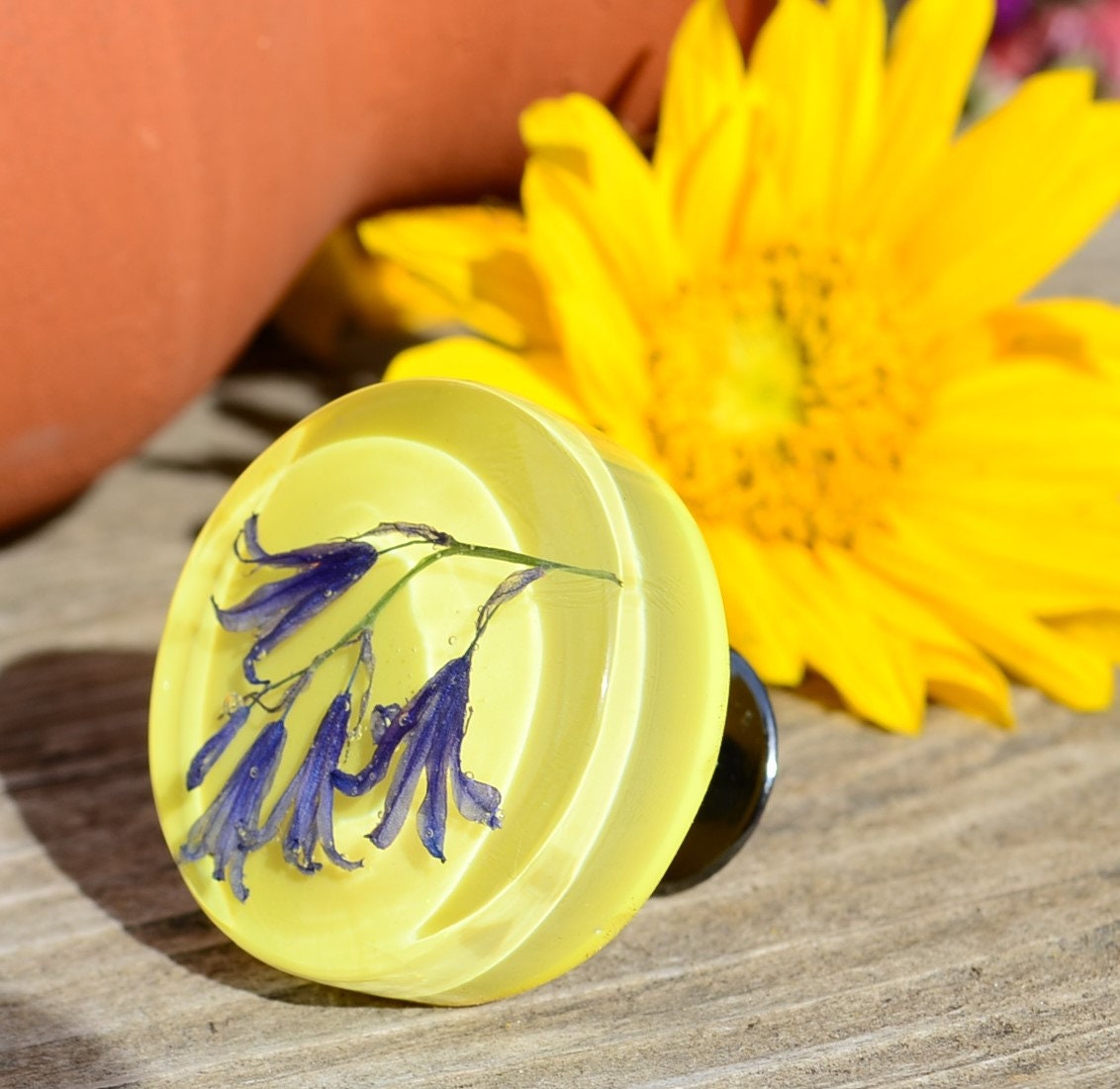 Real Blue flowers cabinet knobs, Special gift for her, Drawer pulls