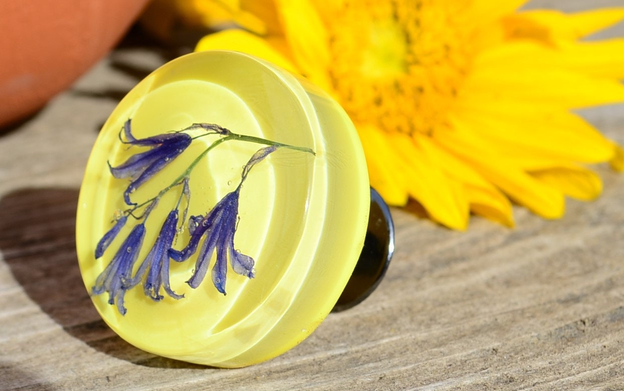 Real Blue flowers cabinet knobs, Special gift for her, Drawer pulls