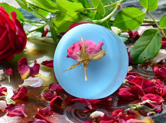 🌹 Romantic Real Red Rose cabinet knob🌹