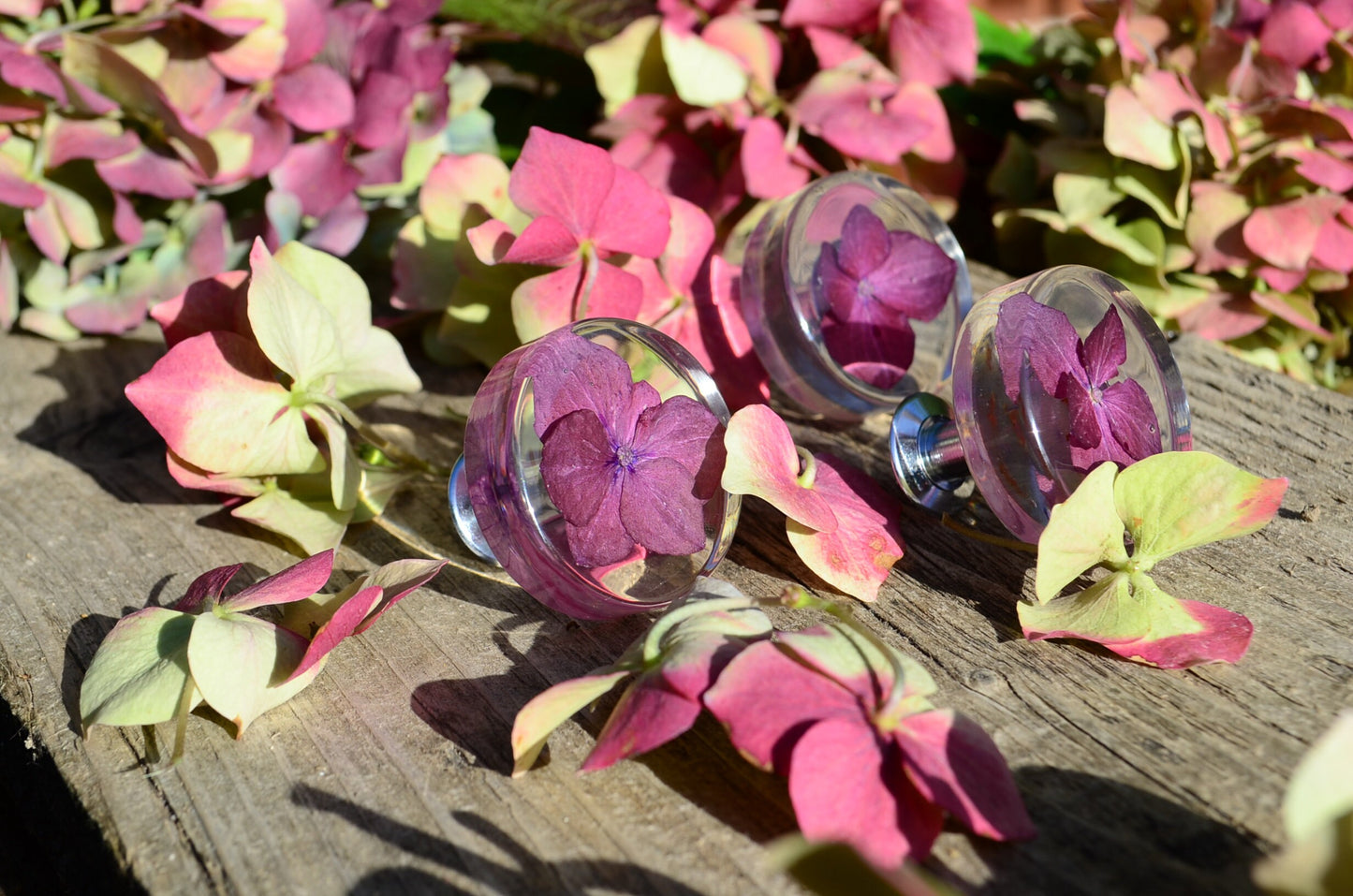 Boho style Big real Flower Cabinet Knobs in Romantic Burgundy Colour, Elegant Drawer Pull, Home decor